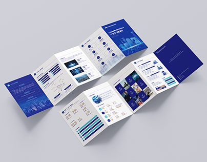 Branding Portfolio's